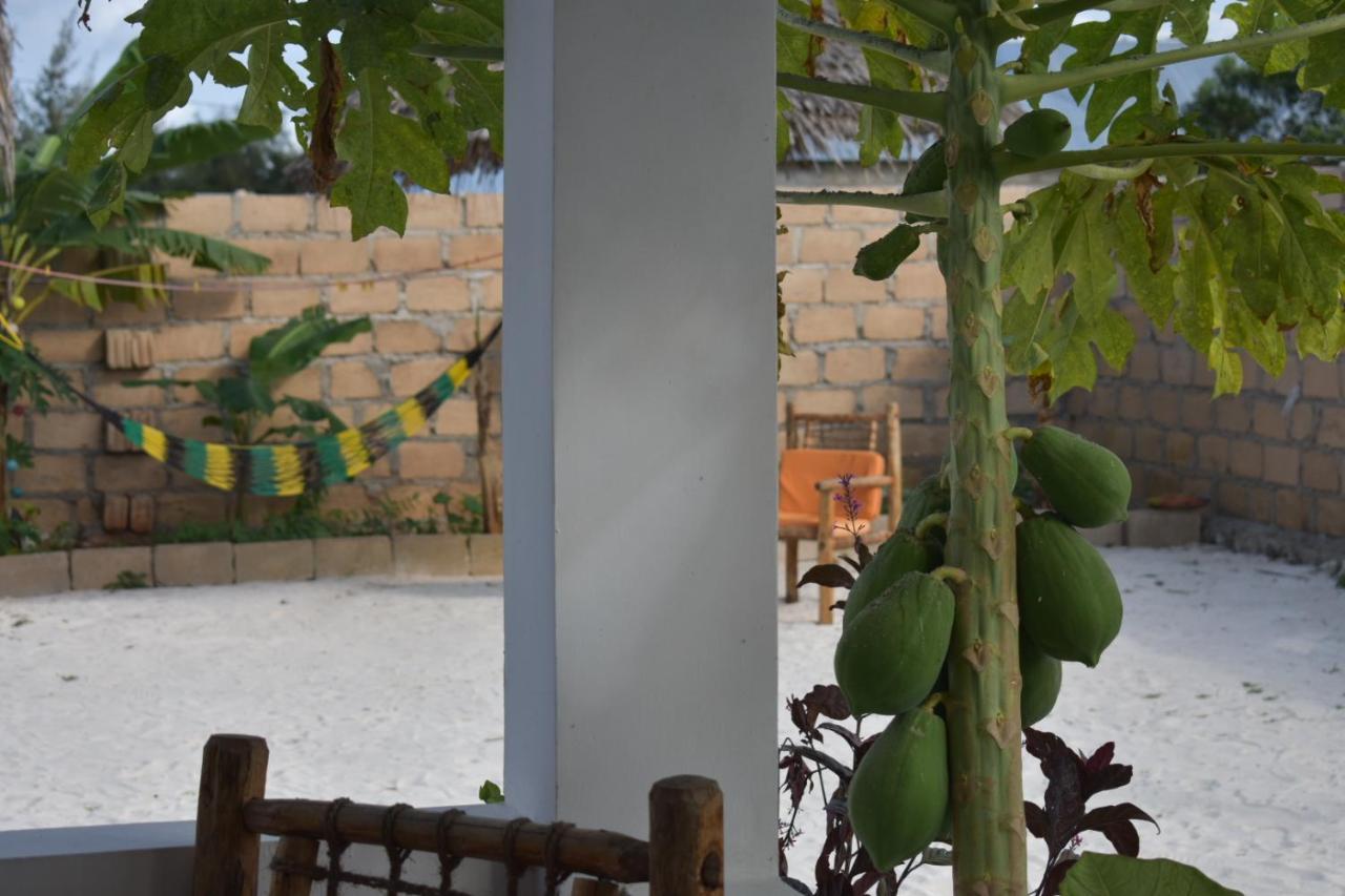 New Arisen Bungalows Bwejuu Exterior photo